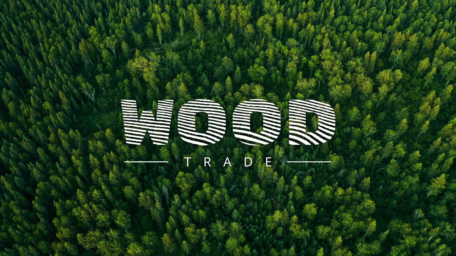 Разработка интернет-магазина компании «Wood Trade» в Ессентуках